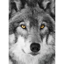 Carnet - 13 X 18 Cm - Loup - 96 Pages Lignées Et Unies