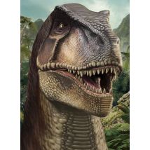Carnet - 13 X 18 X 0.7 Cm - T Rex - 96 Pages Lignées Et Unies