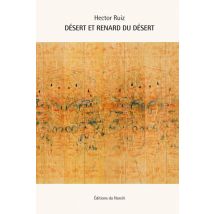 Desert Et Renard Du Desert