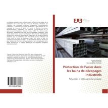 Protection De L'Acier Dans Les Bains De Decapages Industriels : Prevention Et Lutte Contre La Corrosion
