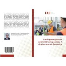 Etude Geologique Et Geominiere Du Panneau 7 De Gisement De Benguerir
