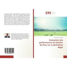 Evaluation Des Performances De Gestion De L'Eau Sur 5 Périmètres Niger