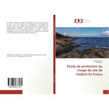 Etude De Protection Du Rivage Du Site De Hadjret En Enous