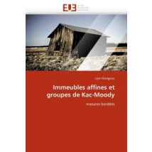 Immeubles Affines Et Groupes De Kac-moody