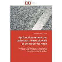 Dysfonctionnement Des Collecteurs D'Eau Pluviale Et Pollution Des Eaux