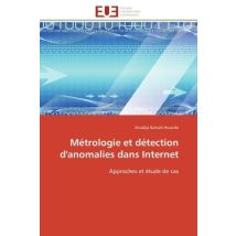 Metrologie Et Detection D'Anomalies Dans Internet