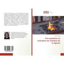 Pré-oxydation Et Activation Du Charbon De La Lignine