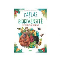 Méga Box Arts & Crafts : La Forêt Magique - Sassi Junior