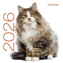 Calendrier Mural 2026 - Chats