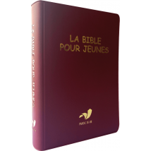 La Bible Pour Jeunes Avec Dc Souple Traduction Parole De Vie