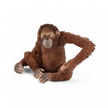 Figurine Orang-outan, Femelle - Schleich
