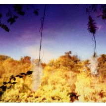 Ascent