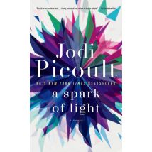 A Spark Of Light