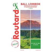 Guide Du Routard : Bali, Lombok - Borobudur, Prabanan Et Les Volcans De Java + Plongées (édition 2021/2022)