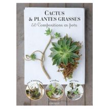 Cactus Et Plantes Grasses