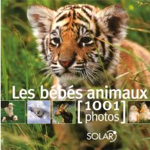 Les Bébés Animaux En 1001 Photos