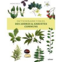 Dictionnaire Visuel Des Arbres Et Arbustes Communs