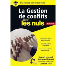 La Gestion De Conflits Pour Les Nuls - Business