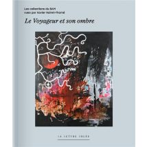 Le Voyageur Et Son Ombre : Les Collections Du Bam (musée Des Beaux-arts De Mons) Vues Par Xavier Noiret-homé