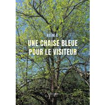 Une Chaise Bleue Pour Le Visiteur
