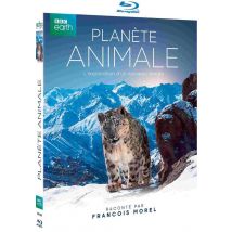Planète Animale