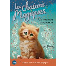 Les Chatons Magiques T.19 - Un Nouveau Compagnon