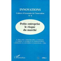 Revue Innovations N.8 - Petite Entreprise, Le Risque