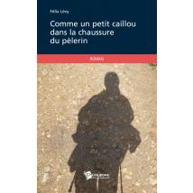 Comme Un Petit Caillou Dans La Chaussure Du Pèlerin