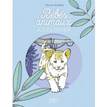 Bébés Animaux À Colorier