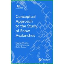 Conceptual Approach To The Study Of Snow Avalanches