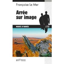 Le Gwen Et Le Fur Tome 15 : Arrée Sur Image