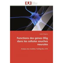 Fonctions Des Genes Olig Dans Les Cellules Souches Neurales