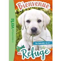 Bienvenue Au Refuge Tome 8 : Un Labrador En Or