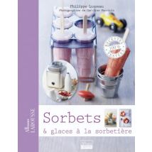 Sorbets Et Glaces À La Sorbetière