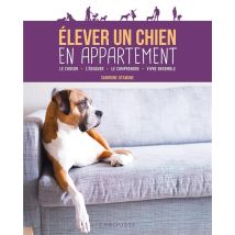 Élever Un Chien En Appartement