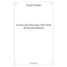 Lecture D'Un Marocain À New York De Youssouf Elalamy