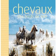 Chevaux Des Bord De Mer