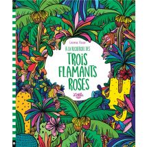 À La Recherche Des Trois Flamants Roses