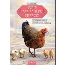 Avoir Des Poules Chez Soi