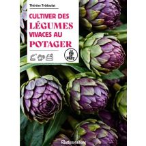 Cultiver Des Légumes Vivaces Au Potager