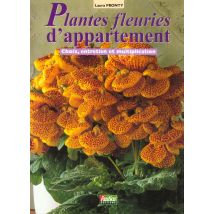 Les Plantes Fleuries D'Appartement