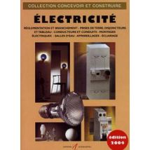Electricite Reglementation Et Branchement, Prise De Terre, Disjoncteurs Et Tableau, Pose Des Conduct (edition 2004)