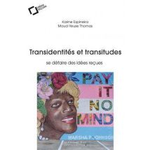 Transidentités Et Transitudes : Se Défaire Des Idées Reçues