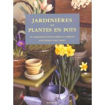 Jardinieres Et Plantes En Pots