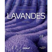Lavandes