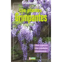 Les Plantes Grimpantes