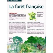 La Forêt Française