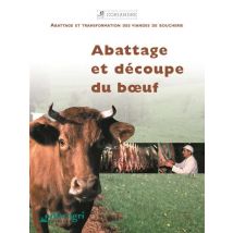 Abattage Et Découpe Du Boeuf