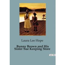 Bunny Brown And His Sister Sue Keeping Store