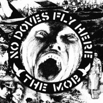 No Doves Fly Here
